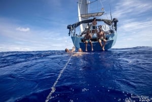 Lloret De Mar: Exclusive private sailing cruise