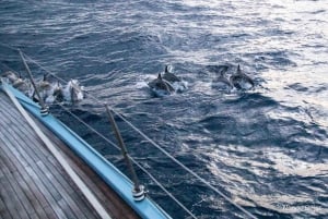 Lloret De Mar: Exclusive private sailing cruise