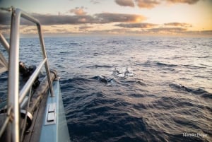 Lloret De Mar: Exclusive private sailing cruise