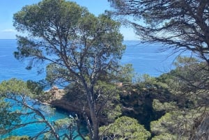 Lloret de Mar: Tour turístico guiado en 4x4