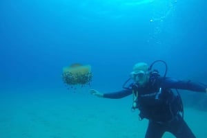 Lloret de Mar: Let Maret: Sukelluskokemus ei vaadita lisenssiä