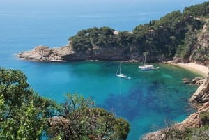 Lloret de Mar: Catamaran cruise bij zonsondergang met DJ en drankjes