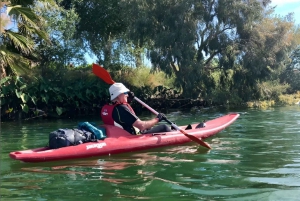 Tarragona: Ebro River Guided Kayaking Tour to Miravet