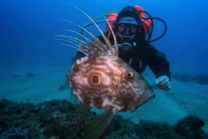 Eine Tagestour zum Tauchen an der Costa Brava
