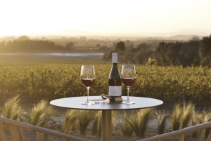 Pals: Odwiedź winiarnię Mas Geli i skosztuj wina