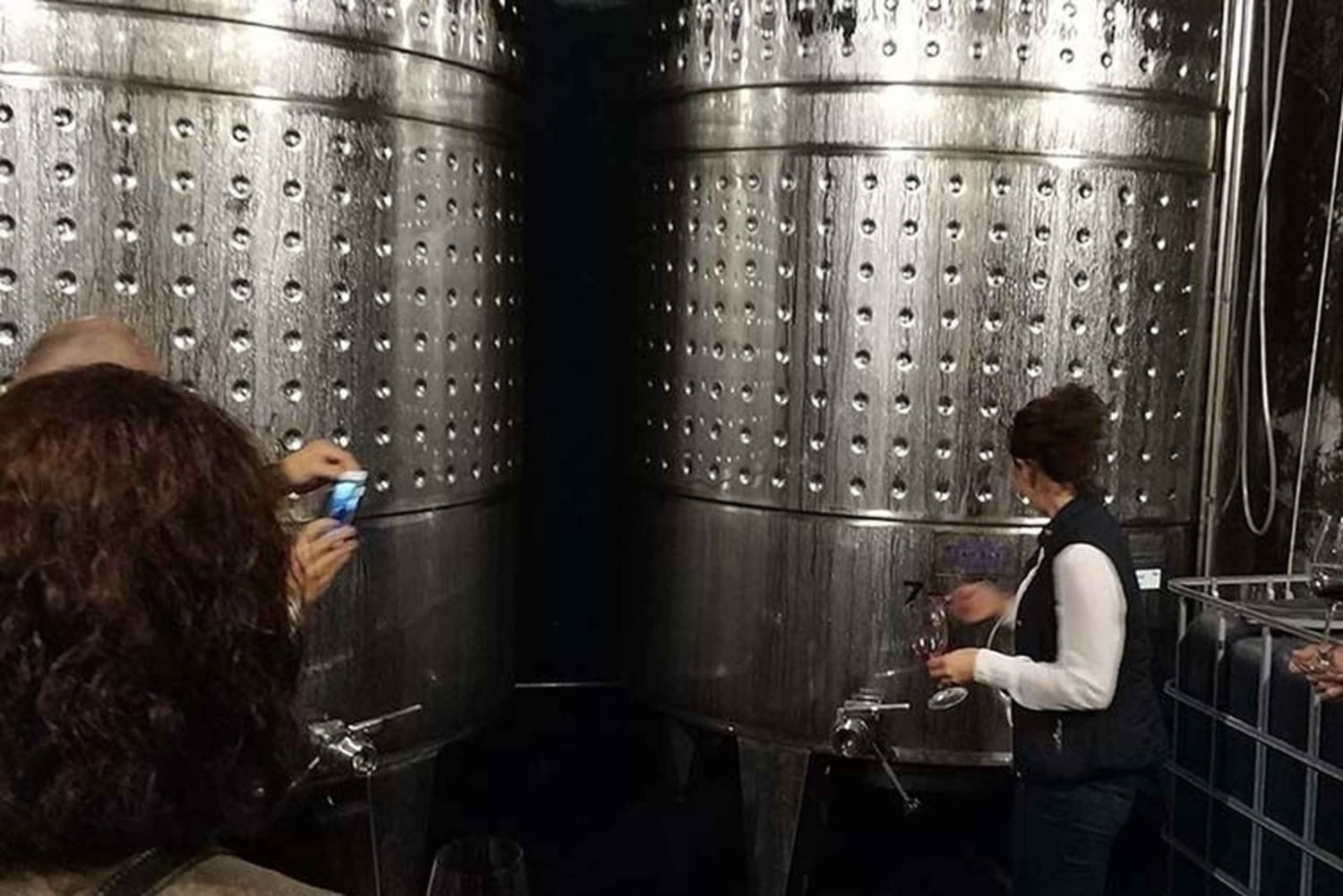 Пенедес: частный тур по дегустации вин и кавы