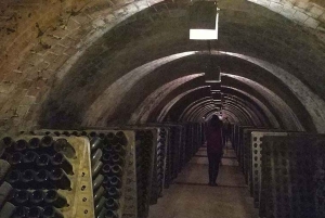 Пенедес: частный тур по дегустации вин и кавы