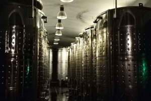 Пенедес: частный тур по дегустации вин и кавы