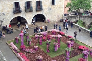 Fra Barcelona: Guidet tur til Girona