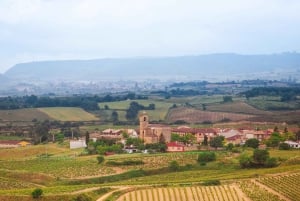 Private Tour Girona & Medieval Villages from Barcelona