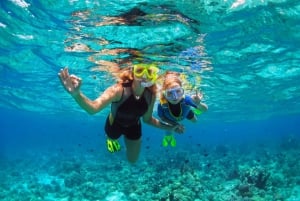 FROM Roses: Bay of Cadaqués Boat Trip with Swim Stop