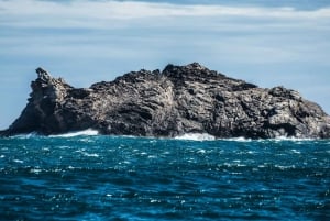 Roses: Excursión en barco al Cap de Creus y Cadaqués