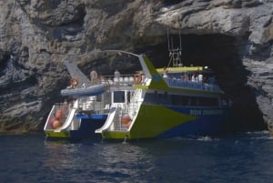 Roser: Costa Brava katamaran tur med undervandsudsigt