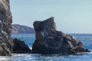 Ab Roses: Katamaranfahrt an der Costa Brava mit Unterwasserblick