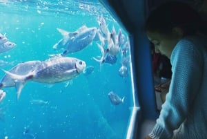 Roses: Costa Brava-katamarantur med undervandsudsigt