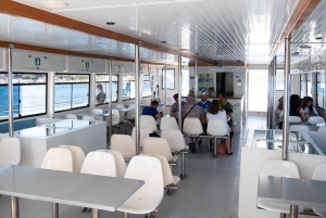 Roses: Costa Brava-katamarantur med undervandsudsigt