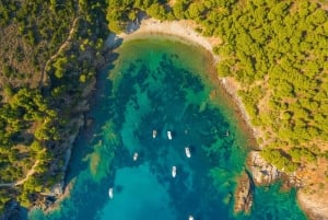 Roses: Costa Brava-katamarantur med undervandsudsigt