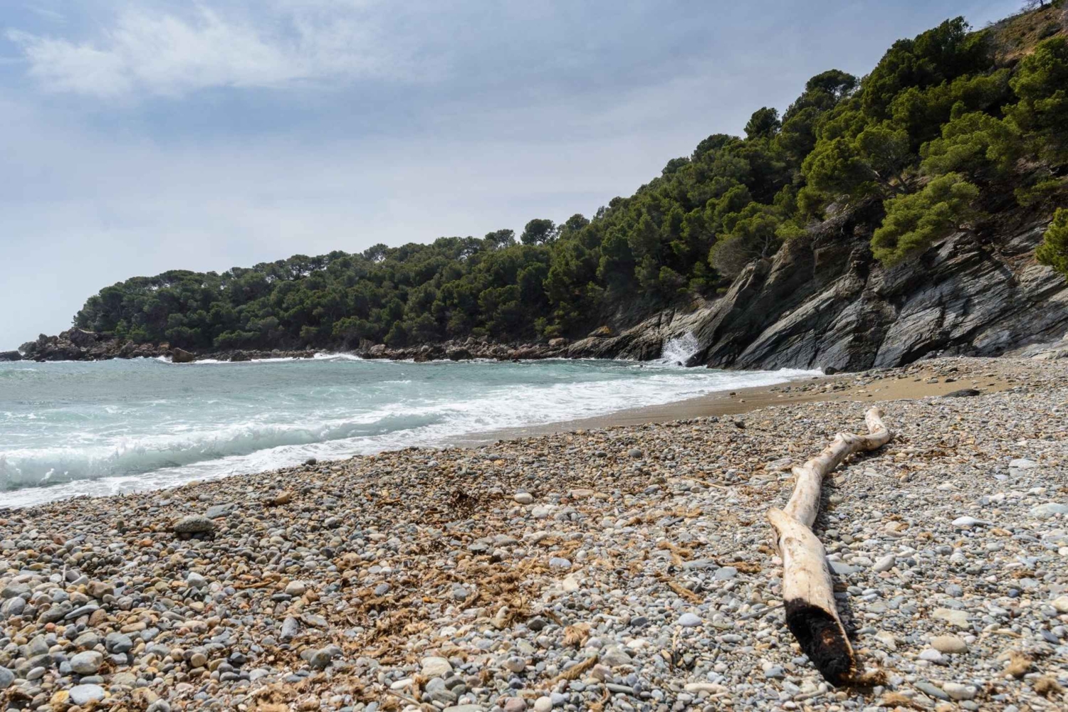 Róże: Rejs do Cala Murtra z podwodnymi widokami