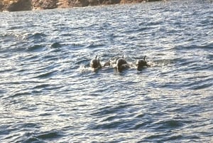 Róże: Rejs do Cala Murtra z podwodnymi widokami