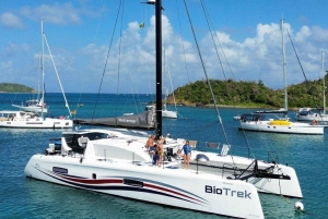 Roses: Day on a private luxury catamaran on the Costa Brava