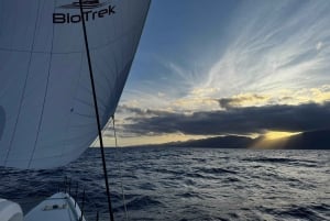 Roses: Day on a private luxury catamaran on the Costa Brava