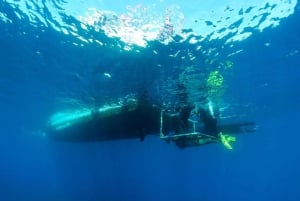 Roses: PADI Discover Scuba Diving Experience