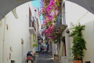 Museo Salvador Dalí, Casa y Cadaqués Tour semiprivado