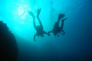 Tossa de Mar: Mar Menuda dykresa för certifierade dykare