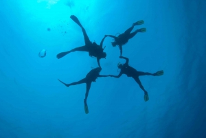 Tossa de Mar: PADI Discovery Scuba Diving