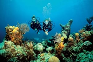 Tossa de Mar: Dykning för nybörjare