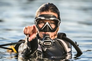 Tossa de Mar: nurkowanie z akwalungiem dla początkujących