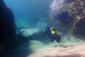 Tossa de Mar: experiência de mergulho para iniciantes
