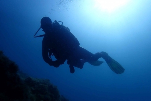 Tossa de Mar: Scuba Diving Experience for Beginners