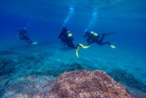 Tossa de Mar: Scuba Diving Experience for Beginners