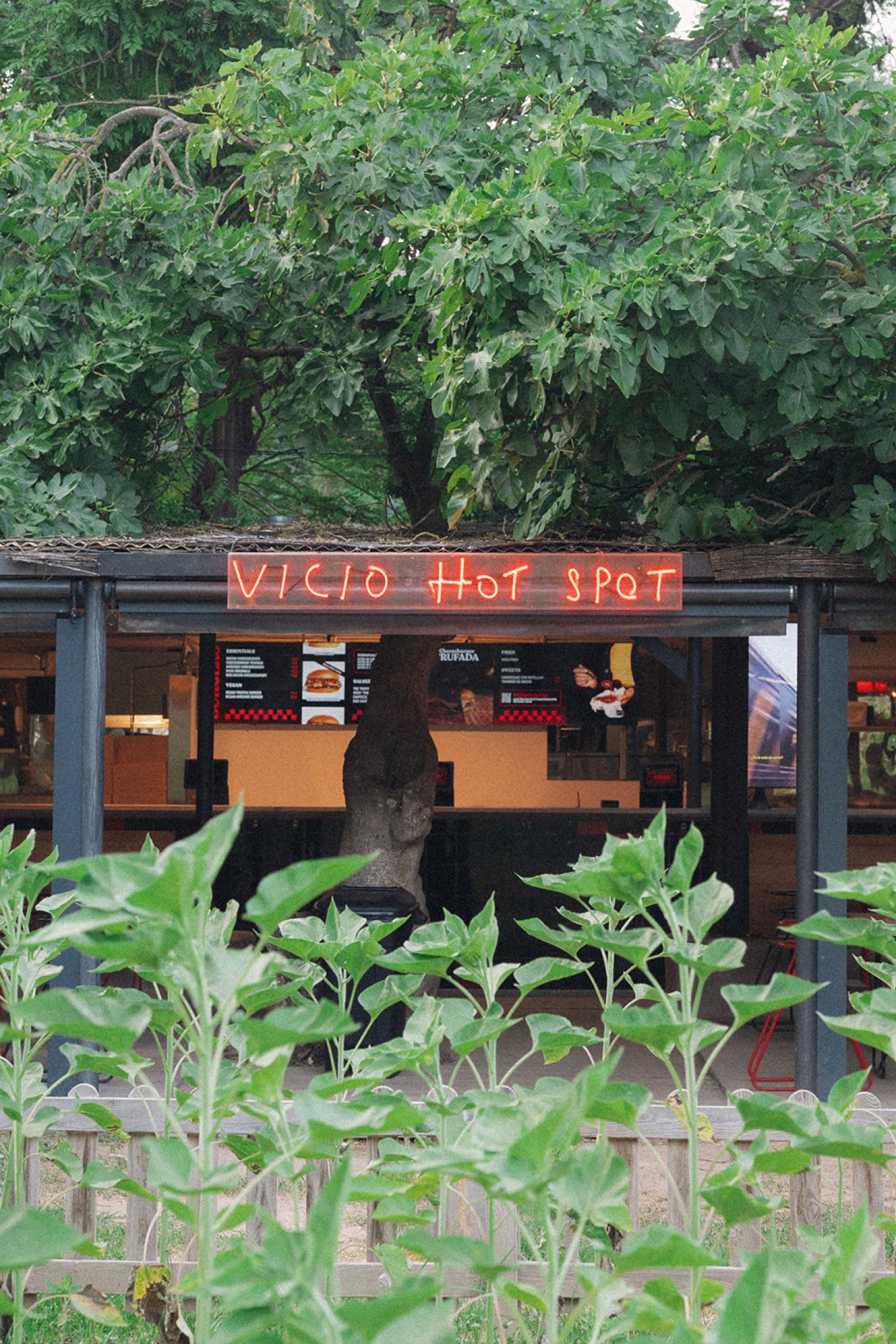 VICIO Hot Spot | Restaurant