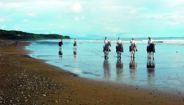Ride Horses on the Beach