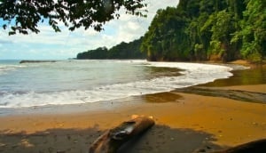 Visit Marina Ballena National Park