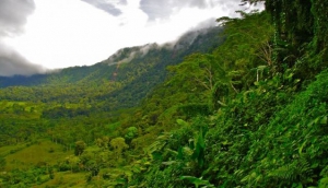 1. Regions to Explore