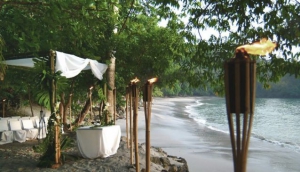 Explore the  Alternatives