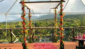 Natural Decorations Courtesy of Mother Nature