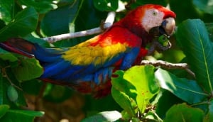 Enjoying the oasis in Estrada