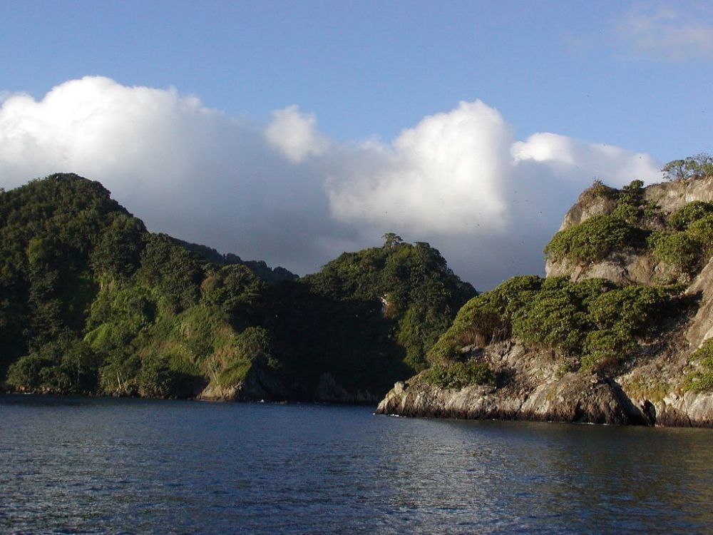 Isla del Coco - Cocos Island