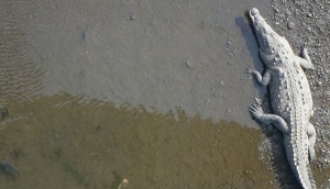 Boating in Costa Rica