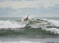 The surf in Costa Rica