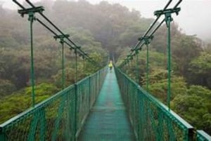 10 päivää Costa Rica tulivuoria, vesiputouksia, rantoja ja muuta matkailua