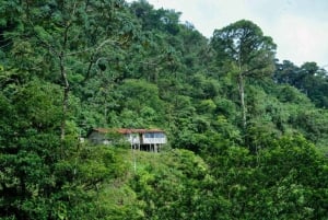 De Monteverde: Caminhada de 2 dias em Fortuna com traslado do hotel