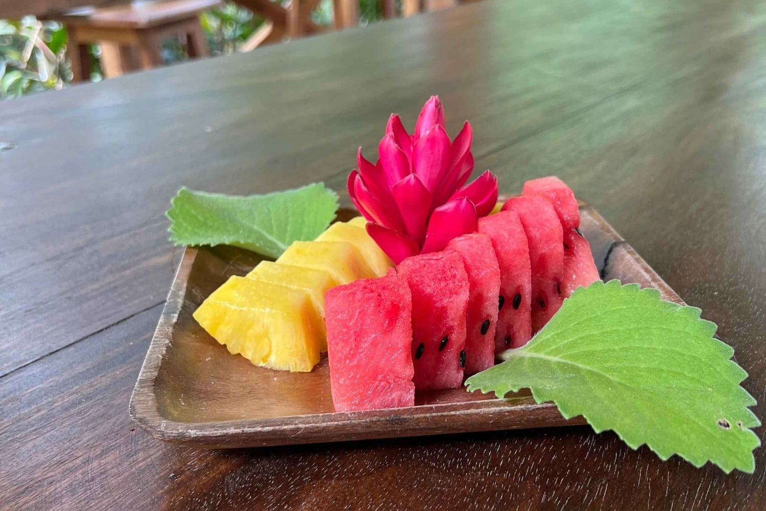 2 tunnin kajakkiretki Queposin mangroveissa – näe apinoita ja syö lounasta