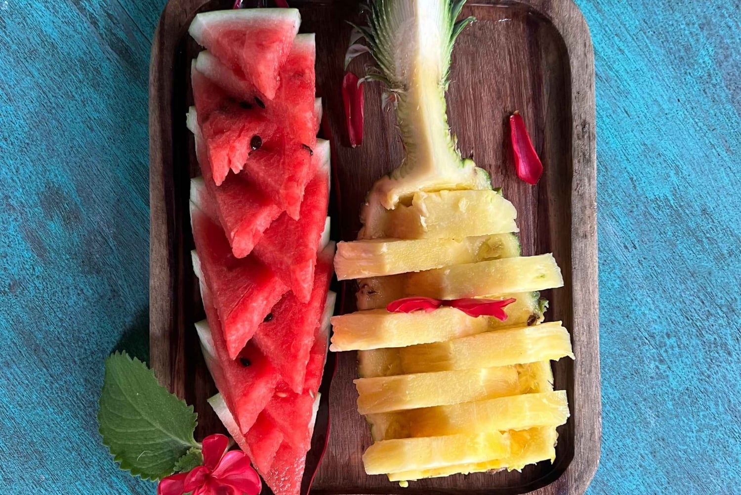 2 tunnin kajakkiretki Queposin mangroveissa – näe apinoita ja syö lounasta