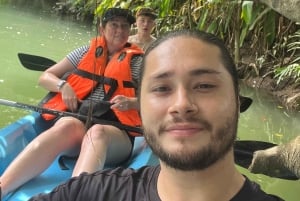 2 tunnin kajakkiretki Queposin mangroveissa – näe apinoita ja syö lounasta