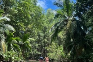 2 tunnin kajakkiretki Queposin mangroveissa – näe apinoita ja syö lounasta